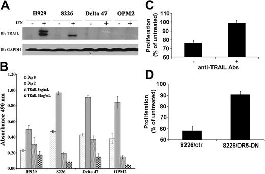 Figure 5. PML up-regulation correlates with TRAIL induction in MM lines. (A) TRAIL is induced only in IFN-responsive cell lines H929 and 8226. Western blot analysis of TRAIL protein following treatment of indicated lines with or without IFN-α for 48 hours (2000 U/mL). GAPDH expression is included as protein loading control. (B) TRAIL inhibits proliferation of both IFN-responsive and nonresponsive cell lines. MM cell lines were treated with the indicated amount of TRAIL and proliferation measured by MTS assay. (C) Biologically active TRAIL is secreted from IFN-α–responsive cell lines. Supernatant from IFN-α–treated and untreated H929 cells was added to IFN-α–nonresponsive Delta47 cells with or without anti-TRAIL antibodies (10 mg/mL) and proliferation measured by MTS assay. Data are presented as percent proliferation of cells treated with supernatant from untreated H929 cells as described in “Materials and methods.” Data are average of 3 independent experiments done in triplicate (± SD). (D) Dominant negative TRAIL receptor blocks IFN-α growth inhibition. The 8226 cells transfected with either vector control (8226/ctr) or DR5-DN construct (8226/DR5-DN) were stimulated with IFN-α 500 U/mL, and proliferation was measured by MTS assay. Proliferation was calculated as described in “Materials and methods.” A representative experiment (1 of 3 independent experiments) performed in triplicate (± SD) is shown.