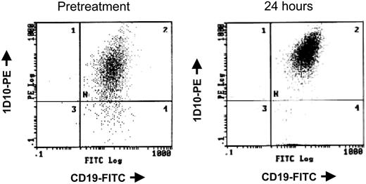 Figure 3. Depsipeptide causes increased 1D10 antigen expression in vivo. Before and 24 hours following treatment with 13 mg/m2 depsipeptide of a patient with CLL, peripheral mononuclear cells were isolated and analyzed simultaneously for surface expression of CD19 and the HLA-DR antigen 1D10.
