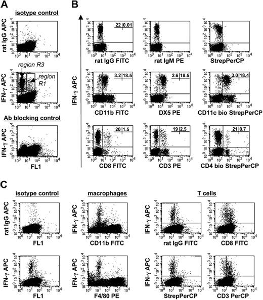 Figure 3. Analysis of total PECs and unseparated BMMΦs of C57BL/6 mice for the expression of IFN-γ by ICS and FACS after stimulation with IL-12/IL-18. Brefeldin A was added during the final 8 hours of the 36-hour stimulation period. (A) Total PECs: a dominant IFN-γ+ cell population is located within region R3 (Figure 1A). In addition a few IFN-γ+ cells were detectable localized within region R1. (B) Total PECs: dot plot analysis of the surface phenotype of the IFN-γ+ cells within region R3. The percentage of IFN-γ+ cells is given in the plot panels. (C) Total BMMΦs: dot plot analysis of the surface phenotype of IFN-γ+ cells within BMMΦs. The cells that specifically stained with anti-IFN-γ compared to normal rat IgG (left 2 panels) are negative for CD11b and F4/80 (2 panels in the middle) and positive for the T-cell markers CD3 and CD8 (4 panels on the right). Panels A and B represent one of 5 independent experiments; panel C, one of 3 independent experiments.