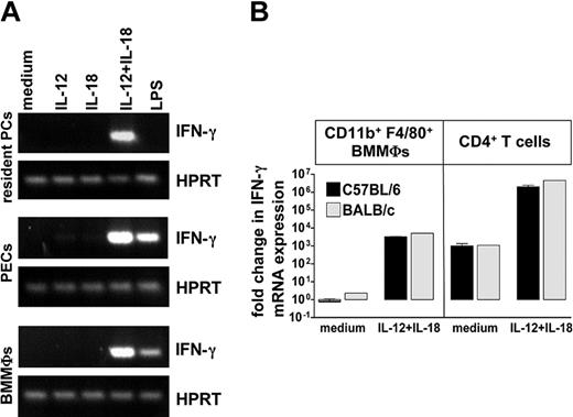 Figure 7. IFN-γ mRNA expression in macrophages of RAG2-/-γc-/- mice and in purified CD11b+F4/80+ BMMΦs and CD4+ T cells of C57BL/6 and BALB/c mice. (A) Resident PCs, PECs, and BMMΦs of RAG2-/-γc-/- mice were incubated with IL-12 (with or without IL-18), IL-18, or LPS (1 μg/mL) for 24 hours, and RNA was prepared and analyzed by conventional RT-PCR for hypoxanthine-guanine phosphoribosyltransferase (HPRT) and IFN-γ. Representative of 3 experiments. (B) Sorted CD11b+F4/80+ BMMΦs and CD4+ purified T cells of naive mice were stimulated with IL-12/IL-18 and harvested for real-time RT-PCR analysis at 24 hours. IFN-γ mRNA transcription was calculated by calibrating to unstimulated C57BL/6 BMMΦs. The data represent the mean (± SEM) of 2 experiments with C57BL/6 BMMΦs and T cells (▪) and the results of one experiment with BALB/c BMMΦs and T cells (▦).