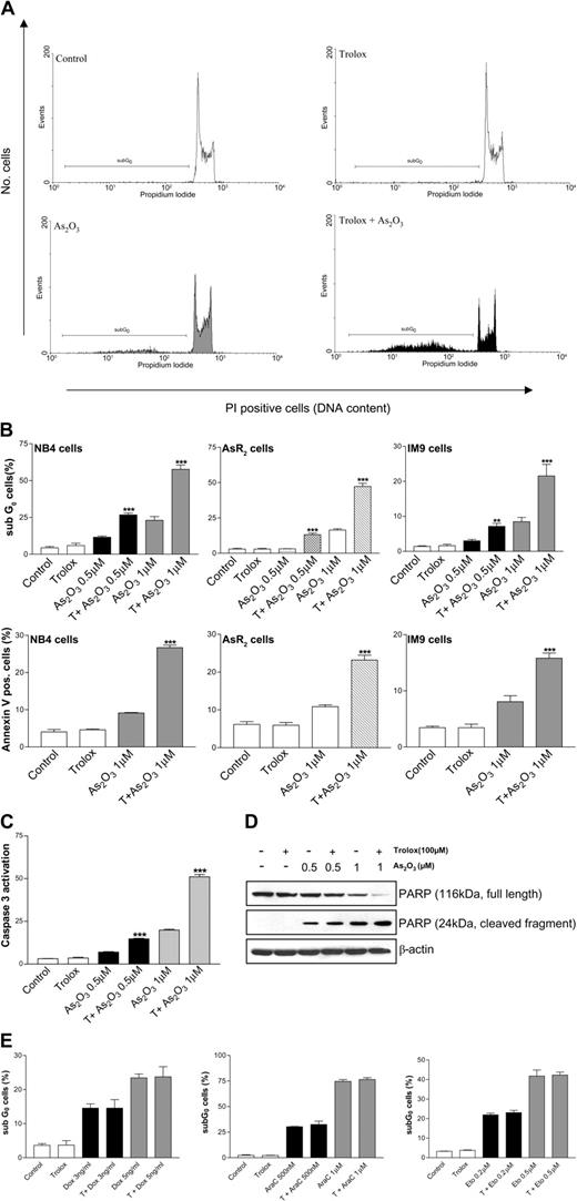 Figure 2. Trolox enhances arsenic-mediated apoptosis in NB4, AR2, and IM9 cells. (A-B) NB4, AsR2, and IM9 cells were treated with As2O3 and trolox (T) for 48 hours. Apoptosis was detected by PI staining. Flow cytometric histograms are shown in panel A. Quantitation of PI-positive cells in a hypotonic fluorochrome solution was performed. Apoptotic cells were also stained with annexin V–FITC and propidium iodide in binding buffer and quantified (B). Each bar represents an average of 3 independent samples, and standard deviation bars are shown. Asterisks indicate significant differences from As2O3-treated cells (**P < .01; ***P < .001). (C) Cells were treated as indicated for 48 hours. Caspase-3 activation was measured using Red-DEVD-FMK. Its binding to activated caspase-3 was analyzed by flow cytometry. Asterisks indicate significant differences (P < .001) from As2O3-treated cells. (D) Western blotting was performed to determine PARP protein levels after 48 hours of treatment. β-Actin was used to show equal loading of lanes. Results are representative of 3 independent experiments each performed in duplicate. (E) NB4 cells were treated with doxorubicin, AraC, or etoposide with or without trolox (T) for 48 hours. Apoptosis was detected by PI staining as described in “Materials and methods.” Each bar represents an average of 3 independent samples, and standard deviation bars are shown.