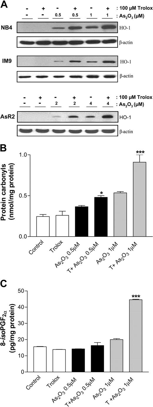 Figure 3. Trolox potentiates As2O3-mediated oxidative stress. (A) NB4, IM9, and AsR2 cells were treated with As2O3 and trolox for 24 hours. Western blot was used to determine HO-1 protein levels. β-Actin was used as a loading control. These data represent 3 independent experiments. (B) Protein carbonyl content was detected by ELISA in NB4 cells treated with As2O3 alone, trolox, or the combination for 3 days with the concentrations indicated. Data depicted are representative of 3 independent experiments each performed in duplicate. Asterisks indicate significant differences from As2O3-treated cells. (*P < .05; ***P < .001). (C) 8-iso PGF2α was detected in whole cells extracts from NB4 cells treated with the indicated compounds for 3 days. Standard deviation bars are shown. Asterisks indicate significant differences from As2O3-treated cells (P < .001).