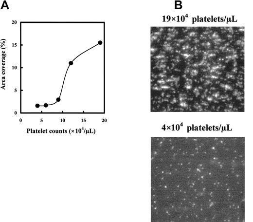 Figure 2. Correlation of platelet counts to platelet adhesion on collagen. Platelet-reduced blood was prepared with PPACK-treated whole blood. Platelet-reduced blood having the appropriate platelet counts was prepared by mixing the erythrocyte fraction and diluted PRP with PPP. The mepacrine-labeled blood was perfused in the flow chamber for 2 minutes at a shear rate of 1600 s–1. (A) Relationship between platelet counts and platelet adhesion. Platelet adhesion was expressed as surface coverage at 2 minutes after the start of flow. Data are each a mean of duplicate measurement values. (B) Photo images of the platelet adhesion under normal and platelet-reduced conditions. Photo images were captured at 2 minutes after starting the perfusion using the reconstituted blood of 19 × 104 or 4 × 104 platelets/μL. Magnification, × 400.