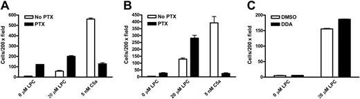 Figure 6. Gi and Gs signaling in LPC/G2A-mediated chemotaxis. (A, B) Effects of pertussis toxin on chemotaxis of wild-type and G2AHIGH J774A.1 cells to LPC and C5a. J774A.1 cells were pretreated with 100 ng/mL PTX for 16 hours. 20 μM LPC was used as a chemoattractant to induce migration of PTX-treated or untreated J774 cells. Chemotaxis toward C5a was used as a control that is sensitive to PTX. The results are representative of 9 independent experiments. (C) Gs signaling in LPC/G2A-mediated chemotaxis. G2AHIGH J774 cells were pretreated with 100 μM of2′,5′-dideoxyadenosine (DDA) for 1 hour to specifically inhibit adenylate cyclase or with the same volume of DMSO as a control. 20 μM LPC was used as a chemoattractant to induce migration of DDA-treated or untreated J774 cells. The results are representative of 3 independent experiments.
