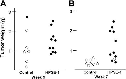 Figure 4. Heparanase promotes growth and metastasis of myeloma tumor cells in vivo. Control-transfected (Control) or heparanase-transfected cells (HPSE-1) were injected at a single site subcutaneously in SCID mice. At 9 weeks (A) or 7 weeks (B) after injection, animals were euthanized, the primary tumors harvested and weighed, and the femurs analyzed for metastasis by immunohistochemistry as shown in Figure 3A. Plots in panels A and B show the wet weight of the primary tumor from each mouse and whether or not that mouse had detectable metastases in the femur (○ = nonmetastatic; • = metastatic).