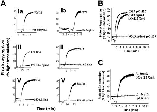 Figure 3. FbsA-dependent platelet aggregation by S agalactiae and L lactis strains. The ability of S agalactiae strains belonging to different serotypes and their corresponding mutants (ΔfbsA) to activate platelet aggregation in PRP was tested (A). The results are presented as percentage aggregation. In the panels the serotype of each strain is indicated. The aggregation tracings are representative of the data from 4 independent experiments performed in triplicate. Panel B shows platelet aggregation induced by the S agalactiae strains 6313 pOri23, 6313 ΔfbsA pOri23, and 6313 ΔfbsA pOrifbsA. Panel C shows platelet aggregation elicited by L lactis pOri23 and L lactis pOri23fbsA. The results are presented as percentage aggregation. The data were derived from 3 independent experiments performed in triplicate.