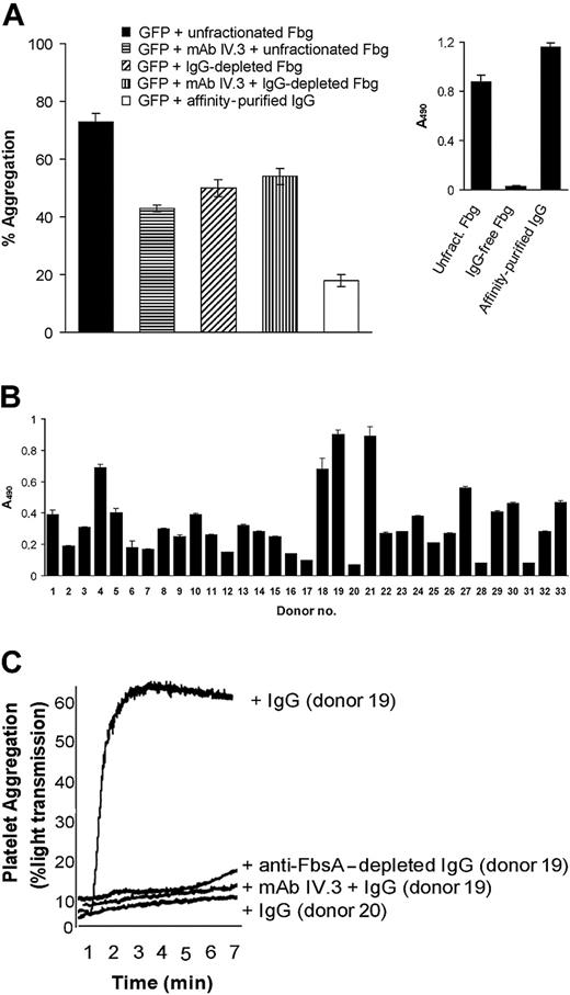 Figure 7. Role of specific anti-FbsA antibodies in S agalactiae–induced platelet aggregation. (A) S agalactiae cells (1 × 109) were mixed for 1 hour with 3 mg/mL unfractionated Fbg, Fbg from which IgG had been removed, or with 625 μg/mL affinity-purified antibodies. Bacteria were harvested by centrifugation, washed, and adjusted to 1 × 109 cells/mL. Then, 50 μL of the bacterial suspension was added to 0.4 mL GFPs (4 × 108) and tested for platelet aggregation as reported in Figure 6. To examine the effect of FcγRIIA on platelet aggregation, 0.4 mL GFPs was preincubated for 10 minutes with the anti-FcγRIIA antibody IV.3 (20 μg/mL), mixed with 50 μL of a S agalactiae suspension previously treated with unfractionated Fbg or IgG-free Fbg and then tested for aggregation. (A inset) ELISAs were performed to quantify the level of anti-FbsA antibodies in unfractionated Fbg, IgG-depleted Fbg, or affinity-purified IgG. The assay was performed by incubating FbsA-coated microtiter wells (2 μg/well) with 7.5 μg protein of each fraction followed by the addition of peroxidase-conjugated rabbit antihuman IgG. (B) The reactivity of IgG from human donors to recombinant FbsA. Microtiter wells were coated with recombinant FbsA (1 μg/100 μL) and incubated with each IgG preparation (2 μ/100 μL) for 2 hours at 22°C. Bound antibody was detected with peroxidase-conjugated rabbit antihuman IgG. (C) Cells of S agalactiae (1 × 109) were preincubated for 1 hour with 100 μg/mL IgG from an individual with a high anti-FbsA antibody titer (donor no. 19), washed, and adjusted to 1 × 109 cells/mL. Then, 50 μL of the bacterial suspension was added to 0.4 mL GFPs (4 × 108), previously incubated with or without the anti-FcγRIIA antibody IV.3 according to the conditions described in panel A, and tested for platelet aggregation as reported. The effects of IgG from donor no. 19 depleted of anti-FbsA antibodies and of donor no. 20, who lacks anti-FbsA antibodies on GFP aggregation by S agalactiae, are also reported. All the results are representative of those observed in 3 separate experiments.