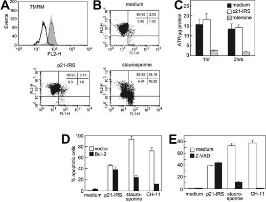 Figure 3. p21-IRS does not disrupt the mitochondrial inner membrane. U937 cells were incubated with medium, p21-IRS, or staurosporine, and Δψm was determined. (A) TMRM fluorescence of cells treated with medium (gray fill), staurosporine (black line), or p21-IRS (dotted line). (B) JC-1 fluorescence. The percentage of cells in each quadrant is shown. (C) p21-IRS does not affect intracellular ATP. U937 cells were treated with p21-IRS or rotenone for 1 hour or 3 hours and intracellular ATP determined. The results shown were the average of 3 replicas. (D) Overexpression of Bcl-2 could not rescue cells from p21-IRS–induced cell death. Jurkat cells overexpressing Bcl-2 were incubated with p21-IRS, staurosporine, or CH-11 for 3 hours, 4 hours, or overnight, respectively, and the percentage of apoptotic cells determined. Results are the average of 3 experiments. (E) The caspase inhibitor Z-VAD does not affect p21-IRS–induced apoptosis. Cells were preincubated with Z-VAD prior to the indicated treatment.