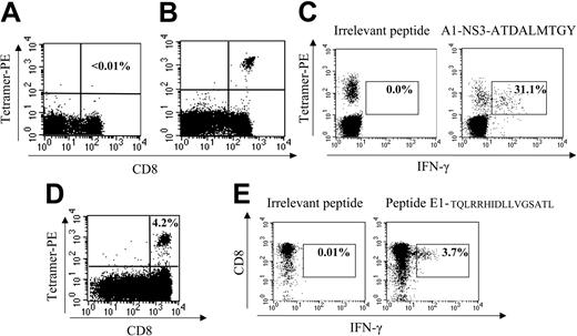 Figure 7. CD8+ T cells are detected in subjects with low CD4+ counts after in vitro expansion. (A) Sample negative tetramer stain in subject D19-03-29 with HLA A*0101 allele; tetramer binds A1-NS3-ATDALMTGY. This subject did not have an ELISpot response to this epitope. (B) Immunodominant ex vivo HCV-specific response in subject D3-01-49, tetramer binds A1-NS3-ATDALMTGY, representing 3.6% of CD8+ cells, corresponding with an ELISpot response of 3000 SFC/106 PBMCs. (C) This panel demonstrates that tetramer binding is specific to this antigen because after a 6-hour incubation more than 30% of tetramerhi cells secrete IFN-γ in the presence of appropriate peptide (gated on CD8hi). (D) Tetramer stain after 14 days of in vitro stimulation in subject C9-02-05 (CD4 = 207 cells/mm3) bearing A*0201 allele with peptide 1406-1415, KLVALGINAV. No ex vivo response by ELISpot or tetramer was detected. (E) Expansion of cells specific to novel epitope contained within E1-TQLRRHIDDLVGSATL in subject C41-03T (CD4 = 92 cells/mm3) after 14 days, demonstrated by IFN-γ ICS on cell line. Ex vivo ELISpot response equaled 25 SFC/106 PBMCs, representing an extremely low level response initially below the cutoff of significance for earlier ex vivo analyses but capable of proliferation in vitro to 3.7% of CD8hi cells.