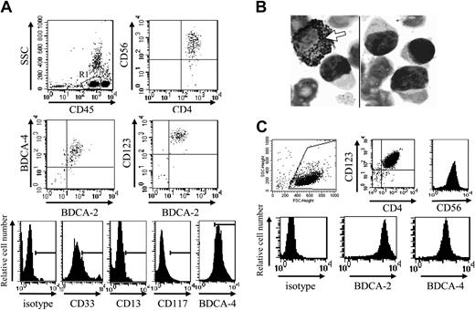 Figure 1. Phenotype of CD4+CD56+ leukemic cells from patient no. 1 at diagnosis and after purification. (A) Circulating leukemic cells from patient no. 1 were stained using specific mAbs and analyzed by flow cytometry. Leukemic cells were identified on their low expression of CD45 (gate R in upper left panel). Dot plots show the expression of the pDC markers BDCA-2, BDCA-4, and CD123 on these CD45low leukemic cells. Dot plot corresponding to CD4 versus CD56 expression after gating on R1 is shown as positive control. Histograms show the expression of CD33, but not other myeloid markers CD117 and CD13 on CD45low leukemic cells. Histogram corresponding to BDCA-4 expression was shown as positive control (row 5 in lower panel). (B) Peroxidase expression was determined using standard benzidine staining. No peroxidase staining was observed in leukemic cells, whereas positive staining was observed in a myeloid cell (arrow). Original magnification × 1000. (C) Bone marrow–infiltrating leukemic cells from patient no. 1 were purified as described in “Patients, materials, and methods.” After purification, cells were stained with specific mAb or isotype control and analyzed by flow cytometry. Purified cells expressed high levels of CD123, CD4 (dot plot), CD56, BDCA-2, and BDCA-4 (histograms).