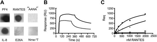 Figure 3. Interaction of PF4 with different chemokines. Chemokines (3 μg) were applied onto a nitrocellulose membrane and incubated with PF4 (1 μg/mL). PF4 was detected by horseradish peroxidase (HRP)–conjugated secondary antibodies and enhanced chemiluminescence. Of 3 comparable experiments, 1 representative is shown (A). Representative surface plasmon resonance (SPR) sensorgrams of RANTES and E26A-RANTES (both 2.5 μM) binding to immobilized biotinylated PF4 on a streptavidin-coated C1-sensorchip (B). RANTES (solid squares), E26A-RANTES (triangles), Nme-7T-RANTES (dots), and 44AANA47 RANTES (open squares) were injected at 0.125, 0.25, 0.5, 1, or 2 μM, and equilibrium responses are shown as a function of concentration. Solid lines represent fits with a single site binding model (C).