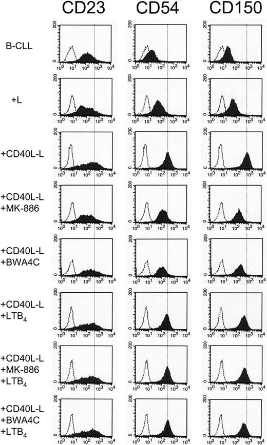 Figure 4. Effects of leukotriene biosynthesis inhibitors on the expression of CD23, CD54, and CD150 in CD40L-activated B-CLL. Purified B-CLL cells were cultivated together with either L cells or CD40L-L cells in the absence or presence of MK-886 (100 nM), BWA4C (100 nM), and/or LTB4 (150 nM) for 96 hours. When inhibitors and/or LTB4 were used, B-CLL cells were pretreated with the compound(s) for 30 minutes in a serum-free medium prior to cultivation together with L cells or CD40L-L cells. B-CLL cells were collected and analyzed by FACS with antibodies against CD23, CD54, or CD150. The figure depicts 1 typical experiment out of 6. In order to more clearly demonstrate the different degree of expression of indicated antigen in the various samples, the inserted dotted line represents the expression of the indicated antigen in B-CLL cells stimulated with CD40L-L only. The shaded histograms show the expression of CD23 (left column), CD54 (middle column), or CD150 (right column). The open histograms represent the fluorescence of the cells stained with isotype-matched control mAbs of irrelevant specificity.