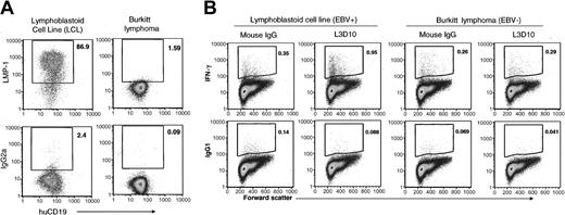 Figure 4. Anti–human CTLA-4 mAb L3D10 promotes preferential expansion of lymphoblastoid cell line–reactive CD8 T cells. (A) LMP-1 expression by an autologous EBV-positive lymphoblastoid cell line (LCL), and an allogeneic EBV-negative Burkitt lymphoma cell line used as stimulators for IFN-γ production by hu-PBL-SCID spleen cells. (B) CB.17 SCID mice were engrafted with 50 × 106 human PBLs and were treated with 100 μg TMβ1 mAb on the same day, followed by 300 μg anti–human CTLA-4 mAb L3D10 or mouse IgG and 3 μg human GM-CSF on days 1, 5, and 9. Spleen cells were harvested at day 29 after engraftment and were stimulated for 6 hours with autologous LCL or allogeneic Burkitt lymphoma cells as a control. Samples were then stained for IFN-γ–producing CD8 T cells. L3D10-treated mice showed an almost 3-fold increase in percentages of IFN-γ–producing CD8 T cells with LCL stimulation compared with control mice. Neither treatment group showed reactivity to Burkitt lymphoma. FACS plots represent pooled spleens from 9 mouse IgG-treated and 5 L3D10-treated mice. Plots shown are within the CD45+CD8+ gate.