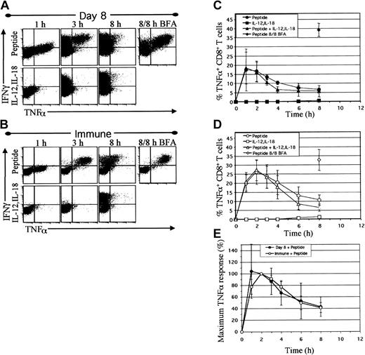 Figure 2. TNFα production is transient following peptide stimulation and is not induced by IL-12 and IL-18. Spleen cells from mice at day 8 (A,C) or day greater than 200 (B,D) after infection were activated directly ex vivo with NP118 peptide and/or IL-12 and IL-18. IFNγ and TNFα production by CD8+ T cells was detected by intracellular staining. Dotplots (A-B) are gated on CD8+ cells and depict IFNγ and TNFα production after 1, 3, and 8 hours of stimulation with peptide or IL-12 plus IL-18 in the presence of BFA added for the last hour, or 8 hours of peptide stimulation with continuous BFA (8 of 8 hours BFA) to fully sequester intracellular cytokines for comparison. Graphs (C-D) depict the percentage of CD8+ T cells producing TNFα versus time. Values are averages ± SDs (n = 4 day 8, n = 8 day> 200). (E) The relative rates of TNFα production by day 8 and day greater than 200 (immune) CD8+ T cells are represented as the percentage of maximum TNFα response at each time interval, with 100% maximum set at 2 hours.