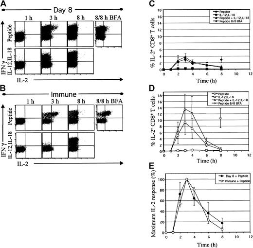 Figure 3. IL-2 is transiently induced following peptide stimulation but is not induced by IL-12 and IL-18. Spleen cells from mice at day 8 (A,C) and day greater than 200 (B,D) after infection were activated as in Figure 2. IFNγ and IL-2 were detected by intracellular staining. Dotplots (A-B) are gated on CD8+ cells and show IFNγ and IL-2 produced after 1, 3, and 8 hours of direct ex vivo stimulation with peptide or IL-12 plus IL-18 in the presence of BFA for the last hour, or 8 hours of peptide stimulation with continuous BFA (8/8 h BFA). Graphs (C-D) show the percentage of CD8+ T cells producing IL-2 at each time interval. Values are averages ± SDs (n = 4 day 8, n = 8 day > 200). (E) The relative rates of IL-2 production by day 8 and day greater than 200 (immune) CD8+ T cells are represented as the percentage of maximum IL-2 response at each time interval, with 100% maximum at 3 hours.