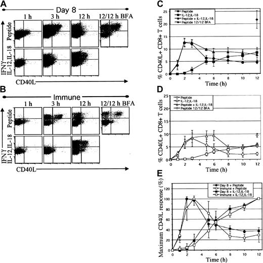 Figure 4. CD40L is induced by either peptide or IL-12 and IL-18, but with independently regulated kinetics. Spleen cells from mice at day 8 (A-B) and day greater than 120 (B,D) after infection were activated as in Figure 2. IFNγ and CD40L were detected by intracellular staining. Dotplots (A-B) are gated on CD8+ T cells and show IFNγ and CD40L expression after 1, 3, and 12 hours of direct ex vivo stimulation with peptide or IL-12 and IL-18 in the presence of BFA for the last hour, or 12 hours of peptide stimulation with continuous BFA (12/12 h BFA). Graphs (C-D) show the percentage of virus-specific CD8+ T cells producing CD40L at each time interval. Values are averages ± SDs (n = 4). (E) The relative rates of CD40L production by day 8 and day greater than 120 (immune) virus-specific CD8+ T cells are represented as the percentage of maximum CD40L response at each time interval, with 100% maximum defined at 3 hours for peptide stimulation and 12 hours for IL-12 plus IL-18 stimulation.