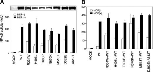 Figure 1. Biologic effects of CARD15 variants discovered in EOS patients. (A) MDP-independent and -dependent NF-κB transactivation by CARD15 variants discovered in EOS patients. HEK293T cells were cotransfected with 30 ng expression construct of a CARD15 variant together with the NF-κB reporter plasmid and measured for NF-κB activity after 12 hours' incubation with (▪) or without (□) 5 μg/mL MDP. Mock vector and the wild-type (WT) CARD15 were used as controls. Values represent the mean of normalized data (mock without MDP = 1) of triplicate cultures, and error bars indicate SD. Shown in 1 representative result of 3 independent experiments. Protein expression levels of CARD15 variants analyzed by Western blotting are shown in the top column. (B) MDP-independent and -dependent NF-κB transactivation by combinations of CARD15 variants mimicking the genotype of EOS patients. To reach a phenotype closer to the heterozygous CARD15 gene expression in case 1 to 8, 15 ng of each CARD15 mutant (R334W, H496L, T605P, N670K, and M513T) was cotransfected with the same amount of the wild-type CARD15 with (▪) or without (□)5 μg/mL MDP. For case 9, 15 ng of each D382E and A612T were cotransfected. Mock vector alone and the wild-type CARD15 alone were added as controls.