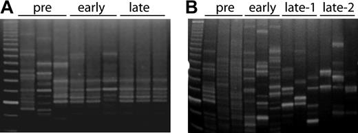 Figure 4. Clonal analysis of chemoprotected hematopoiesis in dogs G179 and G197. LAM-PCR analysis of DNA derived from peripheral blood and bone marrow from (A) dog G179 and (B) dog G197. (A) Pre indicates before the first cycle of drug administration; early, after the first 4 cycles of drug administration; and late, after the last cycle of drug administration. (B) Pre indicates before the first cycle of drug administration; early, after the first 5 cycles of drug administration; late-1, immediately after the last cycle of drug administration; and late-2, approximately one month after the last cycle of drug administration. The far left lane in both panels is a 25–base pair (bp) size marker. The number of clones decreases with increasing number of drug cycles. Importantly, polyclonality is preserved throughout the course of the study in both dogs.