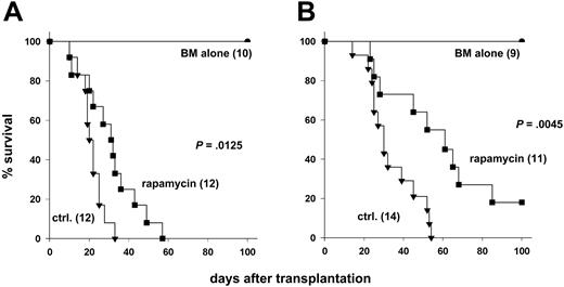 Figure 1. Rapamycin has immunosuppressive activity independent of CD28 engagement. Lethally irradiated (1000 cGy) B10.BR recipients were given transplants of 15 × 106 T-cell–depleted marrow cells with or without 15 × 106 splenocytes from (A) CD28+/+ or (B) CD28-/- C57BL/6 donors. Recipients were treated intraperitoneally with rapamycin or with control solvent. Numbers of recipients are indicated in parentheses. Data were pooled from 3 (A) and 2 (B) experiments, respectively.