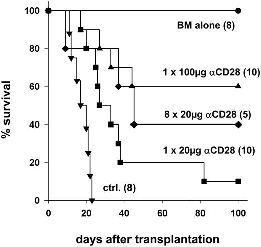 Figure 2. Anti-CD28 mAb prevents GVHD lethality in a myeloablative model of T-cell–replete marrow transplantation. Lethally irradiated (1200 cGy) B10.BR recipients were given transplants of 15 × 106 T cell–depleted marrow cells plus 25 × 106 splenocytes from B6 donors. Recipients were treated intraperitoneally with the indicated anti-CD28 mAb (αCD28) dose once on day 0, or every other day × 8, or with control antibody (ctrl.). Numbers of recipients are indicated in parentheses. Data were pooled from 2 experiments.