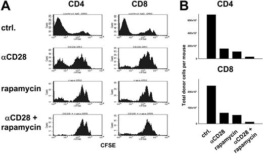 Figure 4. Rapamycin and anti-CD28 mAb limit expansion of alloreactive T cells. Lethally irradiated (1200 cGy) B10.BR recipients were given transplants of 10 × 106 CFSE-labeled T cells from B6 donors. Recipients were treated intraperitoneally with either anti-CD28 mAb at 20 μg × 1 day (αCD28), or rapamycin at 1.5 mg/kg × 4 days (rapamycin) or both combined (αCD28 + rapamycin). Splenocytes were harvested on day 4 after transplantation and stained for H2-Kb, CD4, and CD8. (A) CFSE profile is shown separately for donor type (H2-Kb) CD4+ and CD8+ cells. (B) Absolute numbers of donor CD4+ and CD8+ cells are shown for each group. Samples were pooled from 3 to 4 recipients per group. Results are representative of 2 replicate experiments.