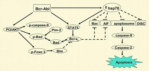Infection with dominant negative (DN) STAT 5 sensitizes HL-60/hsp70 cells to Ara-C and etoposide-induced cell death. See the complete figure in the article beginning on page 1246.