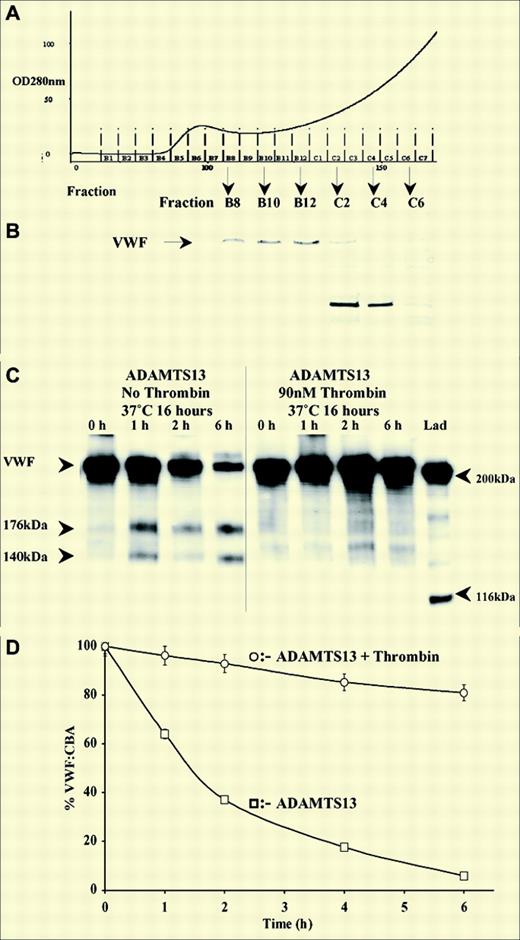 Proteolysis of ADAMTS13 by thrombin abolishes ADAMTS13 enzymatic activity toward purified human VWF. See the complete figure in the article beginning on page 1085.