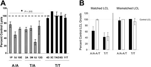 Figure 1. Activity of CTLs. (A) IFNG genotype associates with TGF-β–mediated inhibition of CTL activity. PBLs were cultured with HLA-A/-B–matched LCLs in the absence or presence of 10 ng/mL TGF-β for 5 days. Viable cells were washed 3 times to remove any exogenous TGF-β and CTL activity assessed using standard lysis assays as described in “Materials and methods.” Data are shown as percent control lysis of PBLs cultured with LCLs in the absence of TGF-β. For each donor, multiple effector-to-target ratios were tested in triplicate, and LUs determined from the linear portions of the curves. The percent inhibition was calculated using LUs from control versus TGF-β–treated cultures. The results shown are the mean and SD for the triplicates from representative experiments for each donor. When analyzed by the t test, the CTL activity in A/A and T/A PBLs restimulated in the presence of TGF-β is significantly different from either control CTL activity or the CTL activity in T/T PBLs after culture with TGF-β (P = .015). (B) The ability of CTLs to prevent matched LCL growth is inhibited by CTL restimulation in the presence of TGF-β. CTLs were restimulated in the presence or absence of 10 ng/mL TGF-β. At the end of 5 days, CTL activity was assessed by standard CTL assays as in panel A. In addition, a portion of the restimulated cells (104/well) were cultured with titrated numbers of HLA-A/-B–matched or mismatched LCLs for 2 weeks. Data are shown as the mean percent LCL growth ± SD in wells containing both CTLs and LCLs compared to growth in wells containing only LCLs as determined by Alamar blue. Data are combined for 3 donors of each genotype at an 8: 1 effector-to-target ratio; ▪, control CTLs restimulated in the absence of TGF-β; □, CTLs restimulated in the presence of TGF-β.