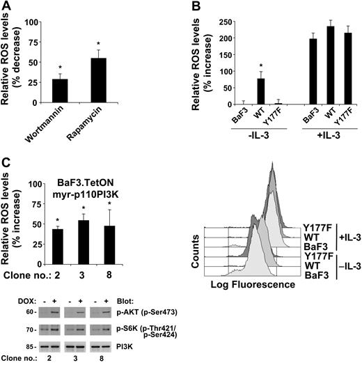 Figure 4. Activation of the PI3K pathway by BCR-ABL is required for elevated levels of ROS. Intracellular ROS levels were measured by DCF-DA staining (A-C). (A) BCR-ABL-transformed BaF3 cells were treated for 4 hours with wortmannin (10 nM) or rapamycin (1 nM) and compared with control-treated cells (top). (B) Parental BaF3 cells and cells expressing either BCR-ABL wild type (WT) or BCR-ABL containing a Tyr177Phe substitution (Y177F) were used and left untreated or stimulated with IL-3 (top). Representative FACS plots of the data are presented in the bottom panel; the top 3 curves represent cells treated with IL-3; the bottom 3, untreated. (C) Three individual clones of starved BaF3.TetON.myr-p110PI3K cells were either left untreated or treated for 18 hours with doxycycline (1 μg/mL). The changes in relative ROS levels were determined (top), and p85 PI3K expression or phosphorylation on specific serine and threonine residues in AKT and S6K was detected as indicated (bottom). The error bars indicate the standard errors of the mean. *Significant differences (P < .05) were observed between treated and control cells (n = 3).