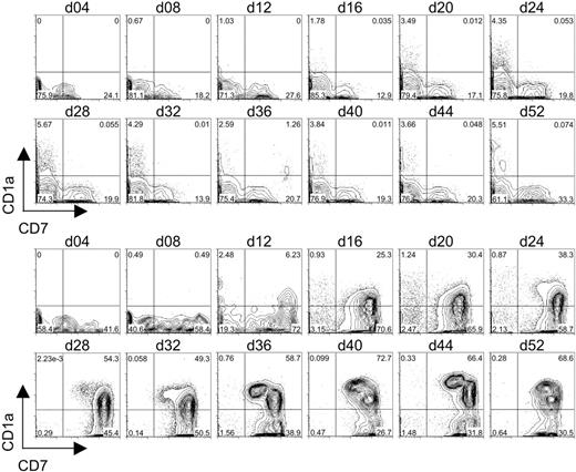 Figure 3. Flow cytometric analysis of CD7 and CD1a expression on differentiating human cord blood HSCs following long-term coculture with OP9-control cells or OP9-DL1 cells. CD34+CD38– cells sorted from human cord blood were cocultured with OP9-control (top 2 rows of histograms) or OP9-DL1 (bottom 2 rows of histograms) stromal cells for 52 days. Induction of the T-cell phenotype was evaluated approximately every 4 days of coculture through the co-expression of CD7 and CD1a.
