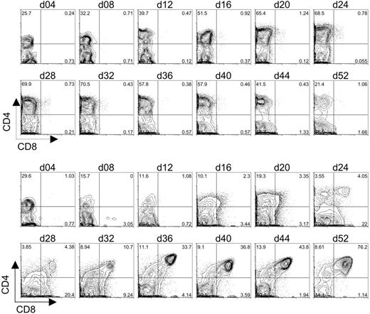 Figure 4. Flow cytometric analysis of CD4 and CD8 expression on differentiating human cord blood HSCs following long-term coculture with OP9-control cells or OP9-DL1 cells. CD34+CD38– cells sorted from human cord blood were cocultured with OP9-control (top 2 rows of histograms) or OP9-DL1 (bottom 2 rows of histograms) stromal cells for 52 days. The generation of DP T cells was evaluated approximately every 4 days of coculture through the co-expression of CD4 and CD8.