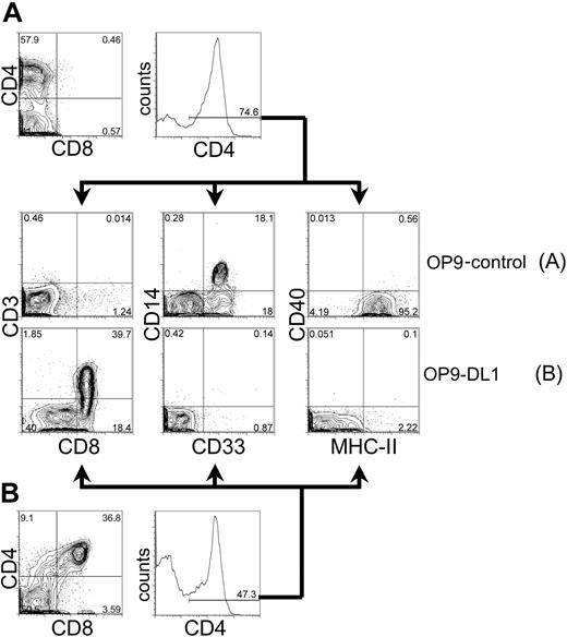 Figure 5. Phenotypic analysis of CD4-expressing cells derived from human cord blood HSCs cocultured on OP9 control cells or OP9-DL1 cells. CD34+CD38– cells sorted from human cord blood were cocultured with OP9-control (A) or OP9-DL1 (B) stromal cells for 40 days. Cells derived from coculture with either OP9-control or OP9-DL1 stromal cells were gated for CD4+ expression and subsequently examined for the expression of T-cell markers CD8 by CD3, or myeloid markers CD33 by CD14 and MHC class II. The percentage of gated cells is given within the histogram and contour plots. As a reference, the expression of CD4 by CD8 is presented from day 40 cocultures on OP9-control (A, top) or OP9-DL1 (B, bottom) stromal cells.