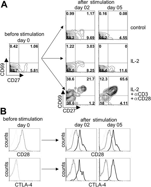 Figure 7. Induction of T-cell activation markers following stimulation of human cord blood–derived HSCs induced to differentiate on OP9-DL1 cells. CB-derived HSCs cocultured with OP9-DL1 cells for 52 days were stimulated with anti-CD3 plus anti-CD28 mAbs in the presence or absence of recombinant human IL-2 added to the media. (A) The expression of CD27 and CD69 was analyzed before stimulation and 2 and 5 days after stimulation on CD3+-gated cells. Anti-CD3 plus anti-CD28 mAb in IL-2–enriched cocultures are compared to IL-2–enriched or control (no IL-2 added) cocultures alone. (B) The expression of CD28 (histograms presented in top row) and CTLA-4 (histograms presented in bottom row) was analyzed before stimulation and 2 and 5 days after stimulation on CD3+-gated cells from cocultures treated without IL-2 (dotted thin black line) or with IL-2 (solid thin black line), or with IL-2 and anti-CD3 plus anti-CD28 (solid thick black line) added and then compared to the appropriate isotype control (thin dotted gray line).