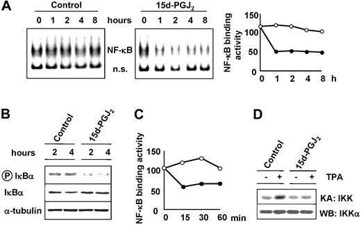 Figure 3. 15d-PGJ2 inhibits NF-κB activity in HS-Sultan cells. HS-Sultan cells were treated with 15d-PGJ2 (10 μM) or control diluent. (A) At the indicated times, whole-cell extracts were analyzed for NF-κB activation by EMSA (left panel). A section of the fluorogram is shown. Positions of NF-κB-DNA (NF-κB) and nonspecific protein-DNA (ns) complexes are indicated. The levels of NF-κB DNA-binding activity in control (○) and 15d-PGJ2-treated (•) cells were quantified by MDP analysis and expressed as arbitrary units (right panel). (B) At 2 and 4 hours after 15d-PGJ2 treatment, levels of total (IκBα) and phosphorylated (P-IκBα) IκBα were determined by Western blot analysis. Levels of α-tubulin are shown as control. (C) In a parallel experiment, HS-Sultan cells were treated with 10 μM 15d-PGJ2 (•) or control diluent (○) for 2 hours and then stimulated with the phorbol ester TPA (100 ng/mL). At different times after treatment, whole-cell extracts were analyzed for NF-κB DNA-binding activity by EMSA, and the levels of NF-κB DNA-binding activity were quantitated by MDP analysis and expressed as arbitrary units. (D) HS-Sultan cells were treated with 15d-PGJ2 (10 μM) or control diluent for 2 hours prior to stimulation with TPA (100 ng/mL). At 15 minutes after TPA addition, whole-cell extracts were analyzed for IKK activity by kinase assay (KA: IKK). Endogenous IKK recovery was determined in the same samples by immunoblot analysis for IKKα (WB: IKKα).