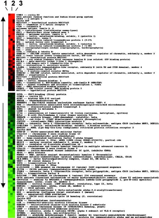 Figure 1. Differential expression of genes induced by TIMP-1 in JD38 Burkitt lymphoma cells. The list represents all genes that consistently change with ratio of expression more than 4-fold or less than 0.25-fold in 3 independent cDNA microarrays (1, 2, and 3). The heat map of ratio data (log2 ratio) of hybridization is shown for each gene in each array, with up-regulated genes in red and down-regulated gene expression in green.