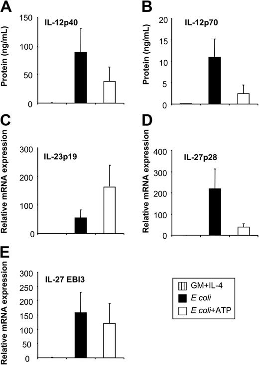Figure 3. Influence of extracellular ATP on IL-12, IL-23, and IL-27 expression of E coli–activated MoDCs. MoDCs were left untreated or were incubated with E coli in the absence or presence of ATP (250 μM). (A) Secreted IL-12p40 and (B) IL-12p70 levels were analyzed by ELISA 2 days after stimulation. (C) Expression of IL-23p19, (D) IL-27p28, and (E) EBI3 was analyzed by RT-qPCR 14 to 18 hours after stimulation. Data represent mean ± SEM of 5 to 6 separate experiments.