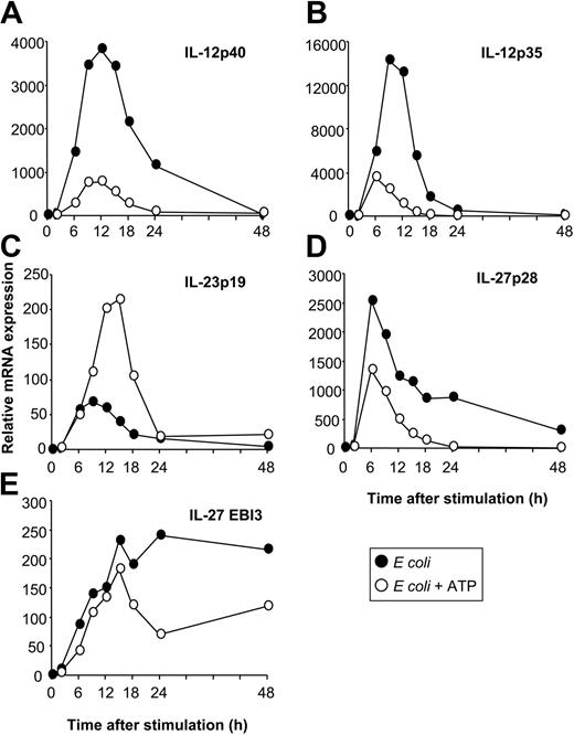 Figure 4. Kinetics of IL-12, IL-23, and IL-27 expression. MoDCs were activated with E coli in the absence or presence of ATP (250 μM), and cytokine expression was analyzed by RT-qPCR at the indicated time points after stimulation. (A) IL-12p40. (B) IL-12p35. (C) IL-23p19. (D) IL-27p28. (E) EBI3. Data are representative of 3 separate experiments.