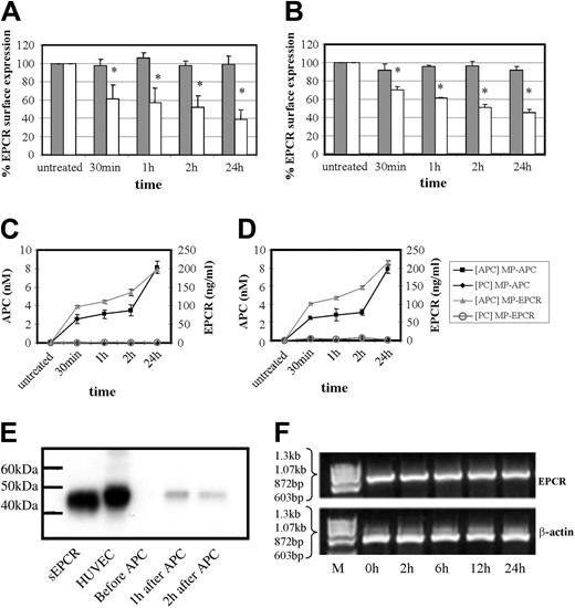 Figure 4. Effect of time on MP-associated EPCR release. Time-dependence experiment of PC (dark gray bars) and APC (100 nM; light gray bars) effect on (A) HUVECs and (B) monocytes by flow cytometric analysis of cellular EPCR expression. Results are expressed as percentage of EPCR surface expression and are the mean value of 3 experiments ± SD with the asterisk indicating P < .005. Panels C and D show the corresponding quantitation of MPs isolated from the media after HUVEC and monocyte treatment, respectively, with PC or APC. These were then captured for EPCR and quantified by chromogenic S2366 for the APC bound (nM) and separately for EPCR detected (ng/mL). (E) HUVECs were incubated with APC (100 nM) for up to 2 hours and MPs were isolated and analyzed by Western blotting, with sEPCR and HUVEC cell lysate as reference standards. (F) HUVECs were incubated with APC (100 nM) for up to 24 hours and EPCR mRNA expression was assessed using RT-PCR with ethidium bromide visualization of PCR-amplified products of EPCR and β-actin mRNA after agarose gel electrophoresis.