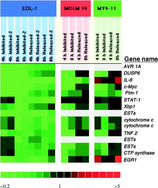 Figure 2. Gene expression changes in EOL-1, MV4-11, and MOLM-14 cells treated with CEP-701. RNAs harvested from cell cultures treated as shown in Figure 1B were hybridized to cDNA microarray slides to examine changes in gene expression. RNA from uninhibited cells was labeled with Cy-5 dUTPs (green fluorescence signal). RNAs from inhibited cells or cells after inhibitor washout were labeled with Cy-3 dUTPs (red fluorescence signal). The uninhibited cell RNA was used as the control to examine changes in inhibited cell RNAs after 4 and 8 hours of inhibition or 4 hours and 8 hours release after inhibition. The inhibited RNA after 4 and 8 hours of inhibition or 4 hours and 8 hours of release after inhibition were represented as 4 hours inhibited, 8 hours inhibited, 4 hours released, and 8 hours released, respectively. The figure shows a pseudocolor representation of the intensity ratios of the raw data from the 2-channel fluorescent images. These data are quality filtered, and the top 15 genes ordered by degree of decreased expression in the EOL-1 cells inhibited by CEP-701 for 8 hours are shown.