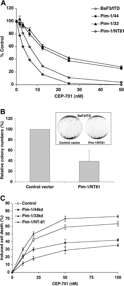 Figure 7. Enforced Pim-1 expression renders BaF3/ITD cells more resistant to cytotoxicity induced by CEP-701 while dominant-negative Pim-1 expression inhibits colony growth. (A) Triplicate samples of 50 000 cells were incubated with increasing concentration of CEP-701 for 24 hours, and cytotoxicity was assessed by MTT assay. The graph displays the MTT results for each cell line normalized to the untreated controls. Error bars represent standard deviation from 3 independent experiments. (B) Pim-1/NT81 inhibits colony formation by FLT3/ITD. BaF3/ITD cells were electroporated with 15 μg of the expression vectors for the N-terminal deletion form of Pim-1 (Pim-1/NT81) or control vector (pLXSN). One day after electroporation, 100, 500, and 2500 cells were seeded on triplicate dishes containing fetal calf serum (FCS), IMDM, 1% methylcellulose, and G418. The colonies were grown at 37°C in 5% CO2 and counted on day 7. The mean colony numbers are counted from triplicate dishes of 100, 500, and 2500 plated cells. The graph shows the relative mean colony number difference and standard deviation of Pim-1/NT81 transfectants compared with control vector transfectants from each group from 3 independent experiments. The inset shows one each of the 10-mm culture dishes from control vector and Pim-1/NT81 electroporations. (C) Cells were incubated with increasing concentrations of CEP-701 for 24 hours and assayed for viability by annexin V and 7-AAD binding by fluorescence activated cell sorting (FACS) analysis. The graph displays the percentage of cell death induced in each cell line by the treatment normalized to the untreated controls. Error bars represent standard deviation from 3 independent experiments.