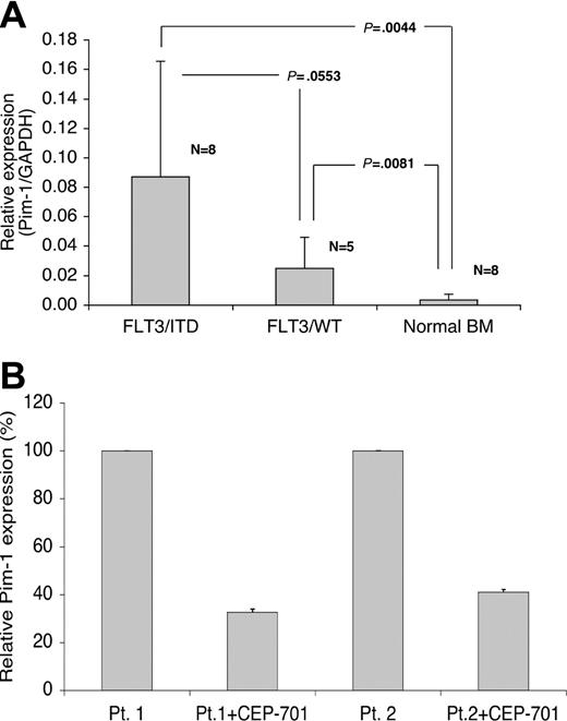 Figure 8. Pim-1 is overexpressed in FLT3/ITD-positive samples from patients with AML, and its expression is decreased after treatment with CEP-701. (A) Samples from patients with AML were analyzed for Pim-1 expression by QPCR and compared with expression in normal bone marrow. The graph shows the relative expression levels of Pim-1 normalized to GAPDH in FLT3/ITD, FLT3/WT (wild-type) AML samples and normal bone marrow samples. The results show the mean and standard deviation for duplicate QPCR results from 3 independent experiments. The data were analyzed by Student t test and P values are shown. (B) Two FLT3/ITD-positive AML patient blast samples (patient 1 and patient 2) were incubated with 50 nM CEP-701 for 6 hours, and total RNA was harvested for QPCR. The results show the mean and standard deviation for triplicate QPCR results from 3 independent experiments.