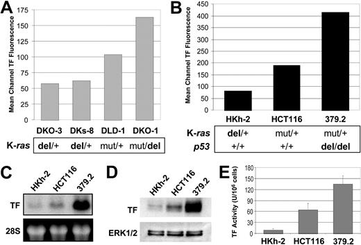 Figure 2. TF expression in cancer cells parallels genetic tumor progression with an impact of K-ras and p53 status. Flow cytometric analysis of surface TF antigen levels present on (A) DLD-1 or (B) HCT116 CRC cells, and their respective sublines created by selective disruption of mutant K-ras or p53 by homologous recombination (+ indicates wild-type allele; mut, mutant allele; del, disrupted allele). Analysis of TF mRNA and protein expression in these cells by (C) Northern and (D) Western blotting. (E) Cell surface TF activity of HCT116 sublines parallels TF antigen expression. Error bars indicate standard deviation.