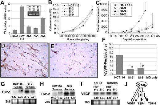 Figure 6. Effect of TF gene silencing on HCT116 tumor growth and angiogenesis. (A) TF siRNA-expressing clones (SI-2, SI-3, and to a lesser extent SI-9) demonstrate decreased cell surface TF activity consistent with TF gene knockdown. Presence of integrated TF siRNA sequence in the clones was confirmed by PCR (inset). (B) In vitro growth curves for HCT116 (▪) and the TF siRNA-expressing clones (SI-2, ○; SI-3, ▴; SI-9, ×) were found to be similar in monolayer culture. (C) In contrast, TF RNAi results in diminished in vivo tumor growth of HCT116 tumors in SCID mice. (D) After 11 days in vivo, robust formation of VWF+ vascular networks was observed in Matrigel plugs containing HCT116 cells. (E) Endothelial cell infiltration was noticeably reduced in plugs containing equivalent numbers of TF-deficient SI-3 cells. (F) The area occupied by VWF+ vascular networks was significantly lower in Matrigel plugs containing TF siRNA-expressing cells (after 11 days in vivo), relative to plugs containing parental HCT116 cells (*P < .0001; area was expressed as a percentage of the total area of a × 20 field). No significant host cell invasion or VWF positivity was detected in pellets consisting of Matrigel alone. Northern blotting of tumors derived from TF down-regulated SI-3 cells revealed significantly increased expression of 2 angiogenesis inhibitors, (G) TSP-1 and (H) TSP-2, relative to their parental HCT116 counterparts, whereas expression of VEGF (I) was only slightly decreased in SI-3 tumors. Numbers indicate intensity of band relative to 28S rRNA loading control. (J) The working model that illustrates how TF may participate in mediating the K-ras-dependent angiogenic phenotype, in part by deregulating expression of angiogenesis inhibitors TSP-1 and TSP-2. Error bars indicate standard deviation. For panels D and E, images were acquired with a Zeiss Axioskop 2 microscope equipped with a Zeiss Achroplan 20×/0.45 objective lens (Zeiss, Oberkochen, Germany). Images were captured with a Sony DXC-350 video system (Sony, San Diego, CA).