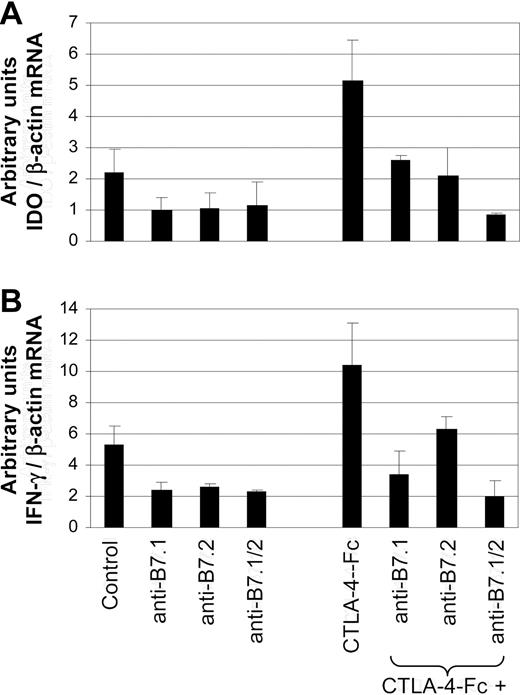 Figure 3. Blocking the effect of CTLA-4-Fc on human PBMCs by anti-B7 mAb. IDO (A) and IFN-γ (B) mRNA expression in human PBMCs after 12-hour incubation with CTLA-4-Fc or mAb anti-B7.1, anti-B7.2, or both anti-B7.1 and anti-B7.2. The last 3 bars on the right of each panel represent simultaneous treatment of PBMCs with CTLA-4-Fc and mAb anti-B7.1 and/or anti-B7.2. P values, indicated in the text, are based on 10 independent experiments. Mean values plus standard errors are shown.