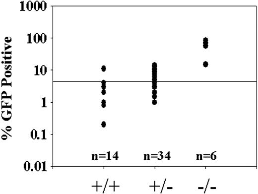 Figure 3. GFP expression analysis of STAT5ab–/– HW80 recipient mice injected as newborns with GFP transgenic donor cells. GFP expression in mice of different genotypes is shown for injected HW80 background mice. The percentage of GFP+ peripheral blood leukocytes of mice is shown for mice analyzed 16 weeks following injection. The number of mice injected in each group is shown below because many circles are overlapping. The genotypes of each group are shown below the graph.