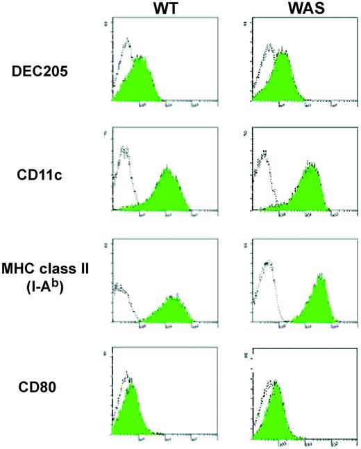 Figure 1. Surface marker expression is normal in WASp-null BMDCs. Unfilled histograms represent either an isotype or second-layer control. Filled histograms show specific expression. WT indicates wild type; WAS, WASp-null BMDCs.