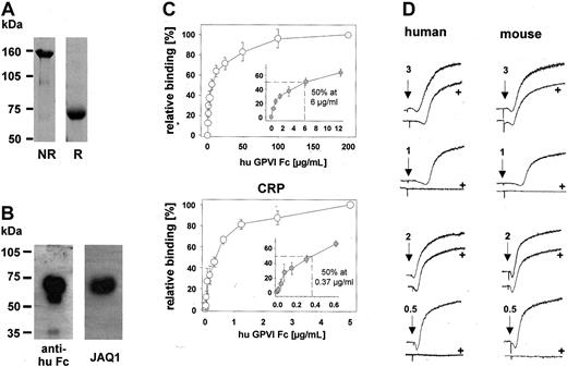 Figure 1. Characterization of hGPVI-Fc. (A) Three micrograms purified hGPVI-Fc was subjected to SDS-PAGE under nonreducing (NR) and reducing (R) conditions, and the gel was stained with Coomassie brilliant blue. (B) One microgram purified hGPVI-Fc was subjected to SDS-PAGE under reducing conditions and was immunoblotted with HRP-conjugated antihuman Fc antibodies or JAQ1. (C) Dose-dependent binding of hGPVI-Fc to immobilized collagen (50 μg/mL) and CRP (2 μg/mL) was measured by ELISA (mean ± SD of 3 individual experiments). (D) hGPVI-Fc partly inhibits collagen- and CRP-induced aggregation of human and mouse platelets. Under stirring conditions, human or mouse PRP stimulated with the indicated concentrations of collagen or CRP in the presence (+) or absence of 20 μg/mL GPVI-Fc. Light transmission was recorded on a Fibrintimer 4-channel aggregometer. Results shown are representative of 6 experiments.