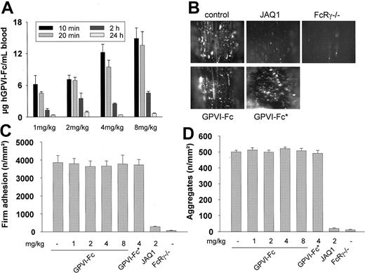 Figure 3. Effect of hGPVI-Fc or anti-GPVI antibodies on platelet adhesion in vivo. (A) Mice received the indicated amounts of hGPVI-Fc intravenously, and blood was drawn at the indicated time points. The plasma concentration of hGPVI-Fc was determined by ELISA. Results are given as mean ± SD from triplicate readings of 3 individual experiments. (B-D) Intravital microscopy. Mice received the indicated amounts of hGPVI-Fc, hGPVI-Fc*, or vehicle intravenously, and platelet-vessel wall interactions after vascular injury were examined by in vivo fluorescence microscopy of the common carotid artery in situ. In parallel, JAQ1-treated (2 mg/kg) and FcRγ–/– mice were tested. (B) The photomicrographs show representative in vivo fluorescence microscopy images 3 minutes after injury in mice treated with vehicle, hGPVI-Fc (4 mg/kg), hGPVI-Fc* (4 mg/kg), or JAQ1 (2 mg/kg). Platelet adhesion (C) and aggregate formation (D) shown as mean ± SD of 7 experiments per group.