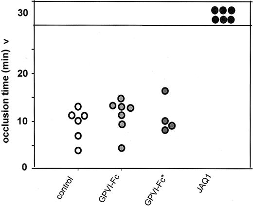 Figure 4. Arterial occlusion model. Mice received vehicle (n = 6), GPVI-Fc (4 mg/kg, n = 7), GPVI-Fc* (4 mg/kg, n = 4), or JAQ1 (2 mg/kg, n = 6), and thrombosis was induced in the aorta by one firm compression with a forceps. Blood flow was monitored with an ultrasonic flow probe until complete occlusion. The experiment was stopped after 30 minutes. Each symbol represents one individual.
