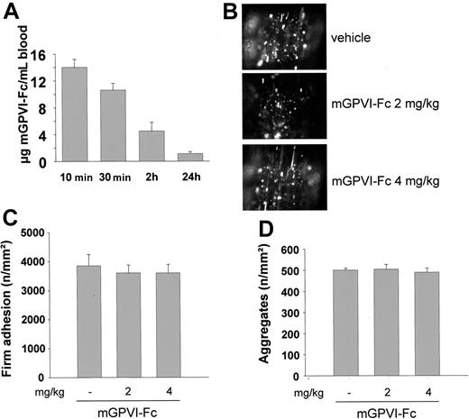 Figure 7. Effect of mGPVI-Fc on platelet adhesion in vivo. (A) Mice received 2 mg/kg mGPVI-Fc intravenously, and blood was drawn at the indicated time points. The plasma concentration of mGPVI-Fc was determined by ELISA. Results are given as mean ± SD from triplicate readings of 3 experiments. (B-C) Mice received the indicated amounts of GPVI-Fc or vehicle intravenously, and platelet–vessel wall interactions after vascular injury were examined by in vivo fluorescence microscopy of the common carotid artery. Platelet adhesion (B) and aggregate formation (C) of 7 experiments per group are summarized. Photomicrographs show representative images 3 minutes after injury in mice treated with vehicle or mGPVI-Fc (2 or 4 mg/kg).